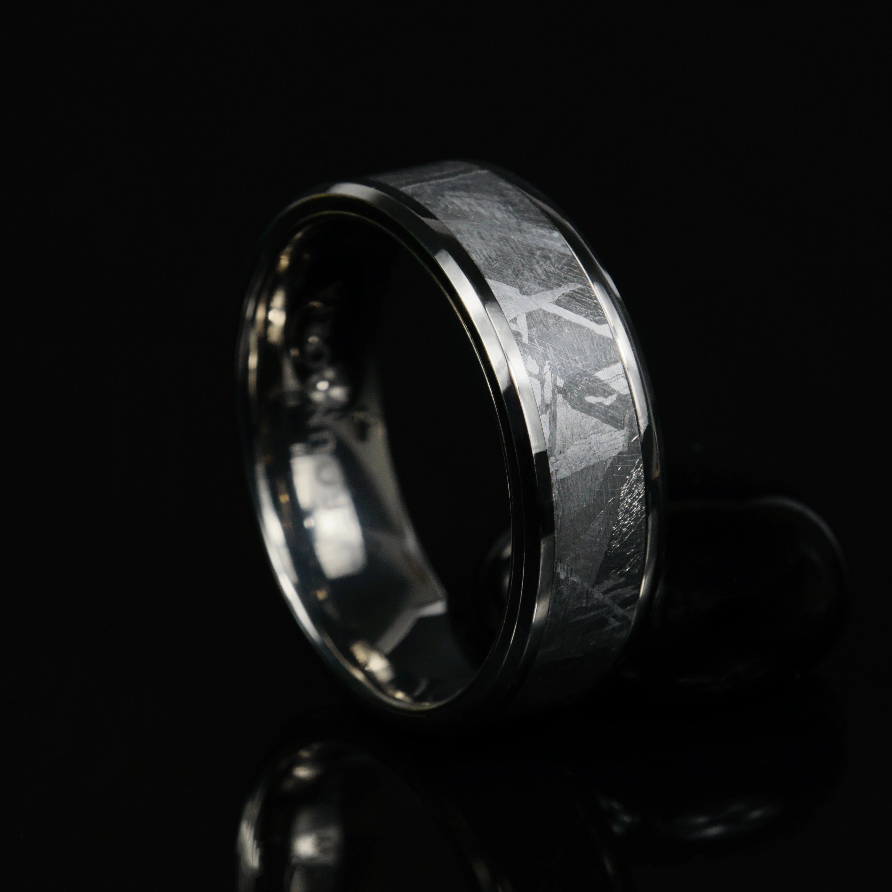 Atlas - Titanium Ring with 5mm Meteorite Inlay